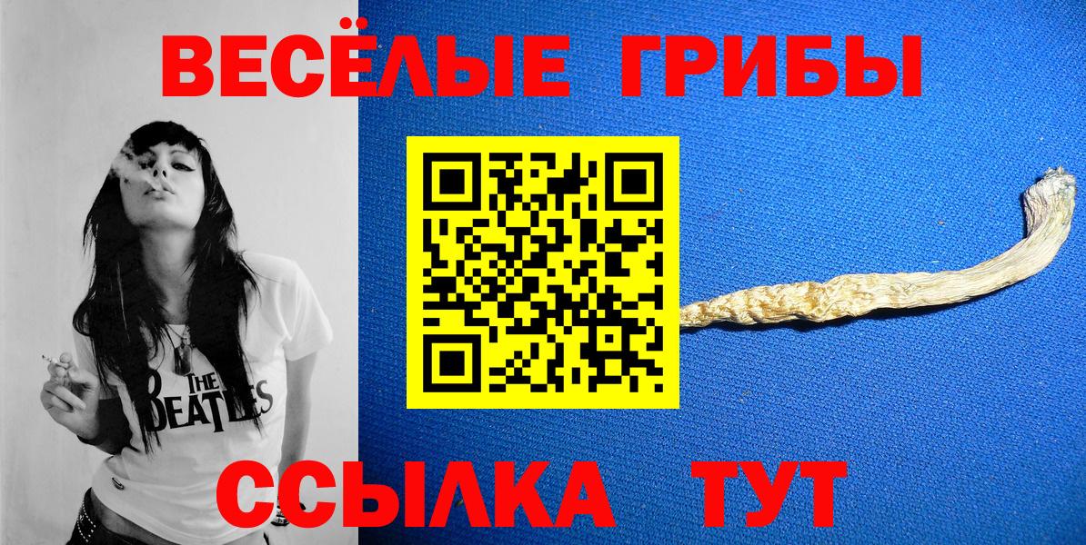 Псилоцибиновые грибы Cubensis  Псилоцибиновые грибы мицелий  Наро-Фоминск  Вход с VPN 
